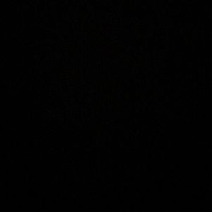 Meet your Posher, Lizette